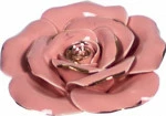 mini_image